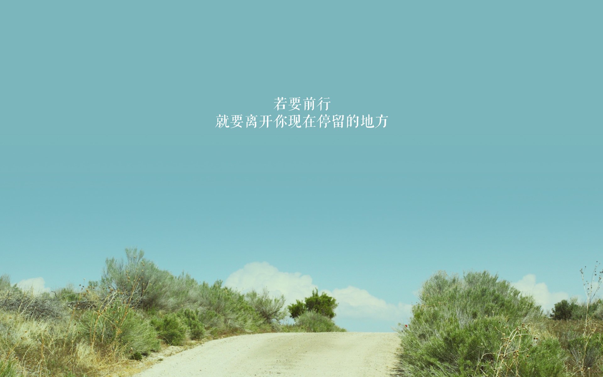 WRC新技术亮相：智能辅助带来新体验，wrc软件