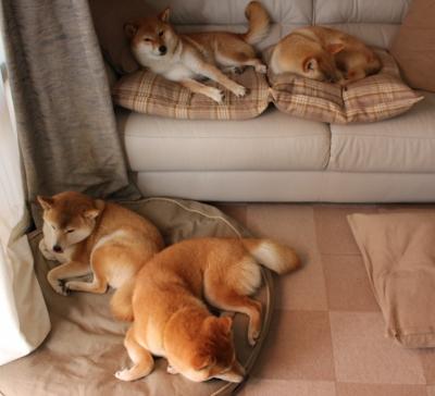 【战术大师】奥沙利文:利用变招制造战局迷雾,奥沙利文的战绩